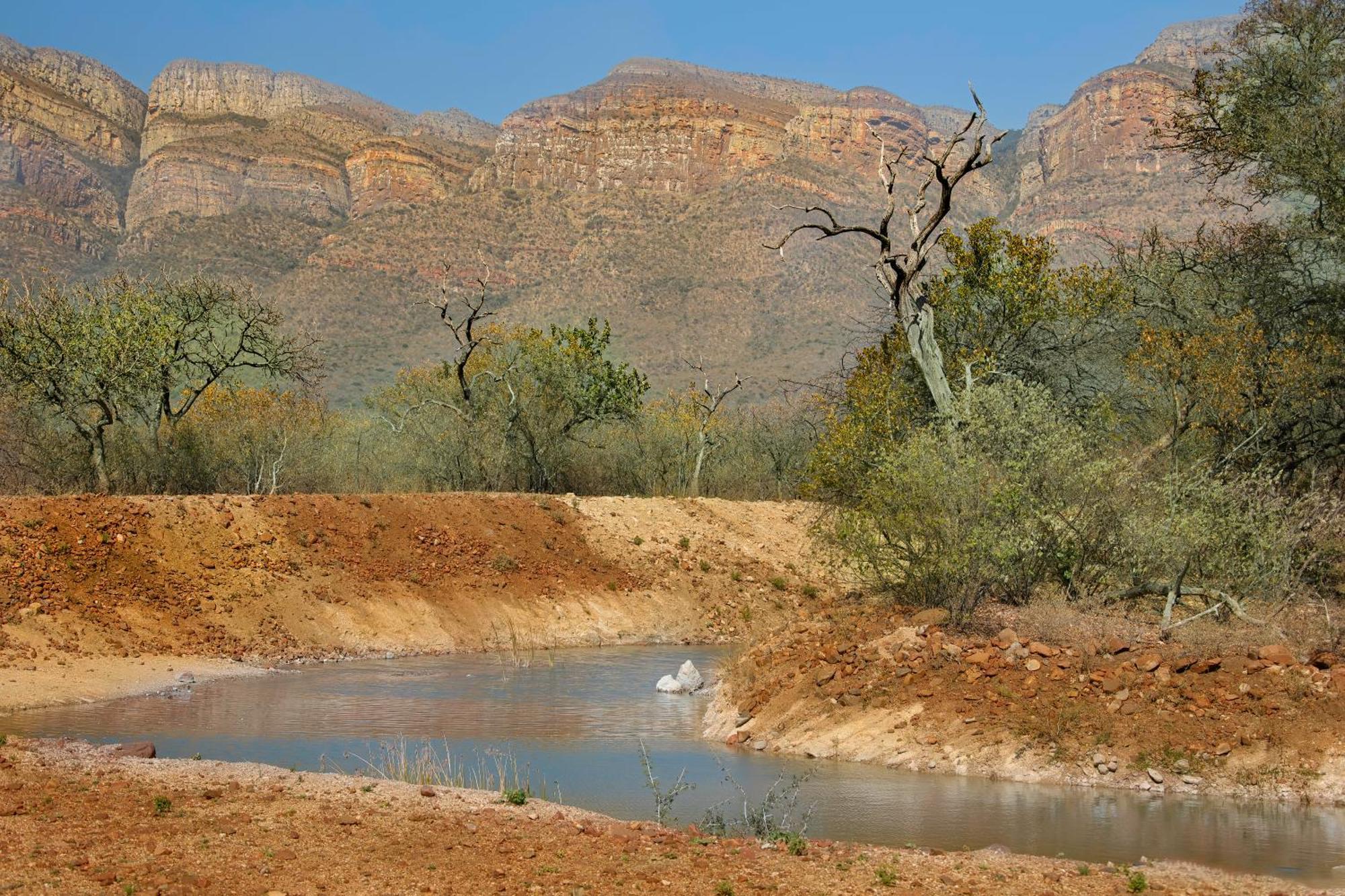African Dream Tour Hoedspruit Kültér fotó